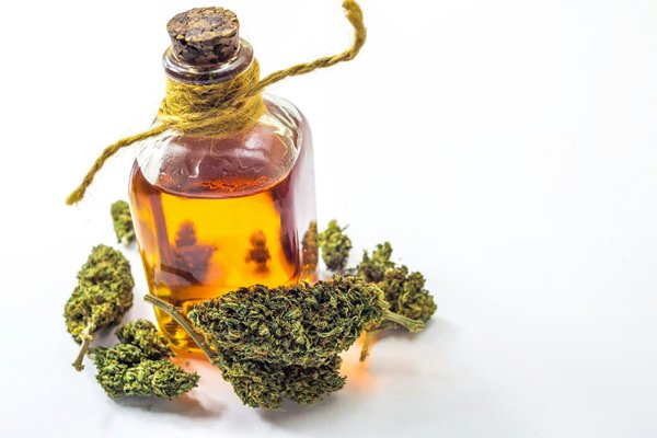 Découvrir les bienfaits du chanvre pour le corps et l'esprit